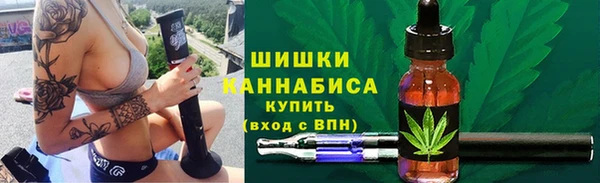 твердый Богданович