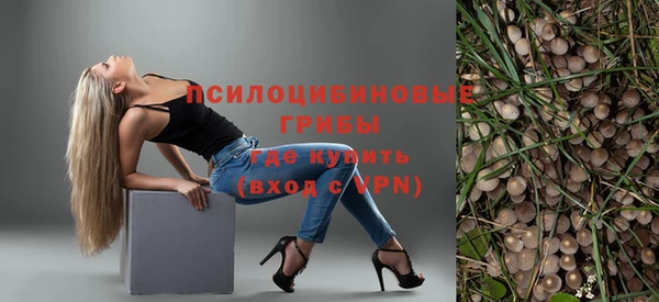 твердый Богданович