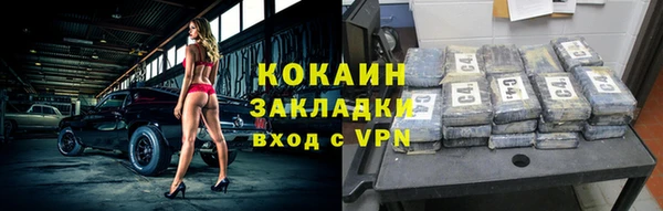 твердый Богданович